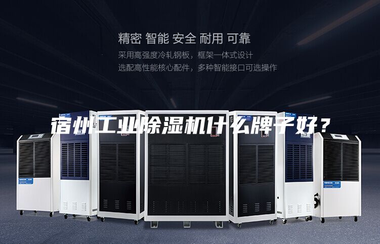 宿州工業(yè)除濕機(jī)什么牌子好？