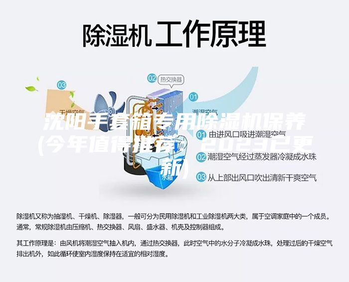沈陽(yáng)手套箱專用除濕機(jī)保養(yǎng)(今年值得推薦：2023已更新)