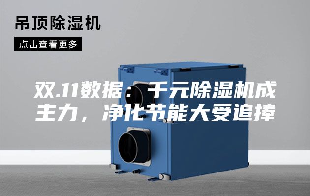 雙.11數(shù)據(jù)：千元除濕機成主力，凈化節(jié)能大受追捧