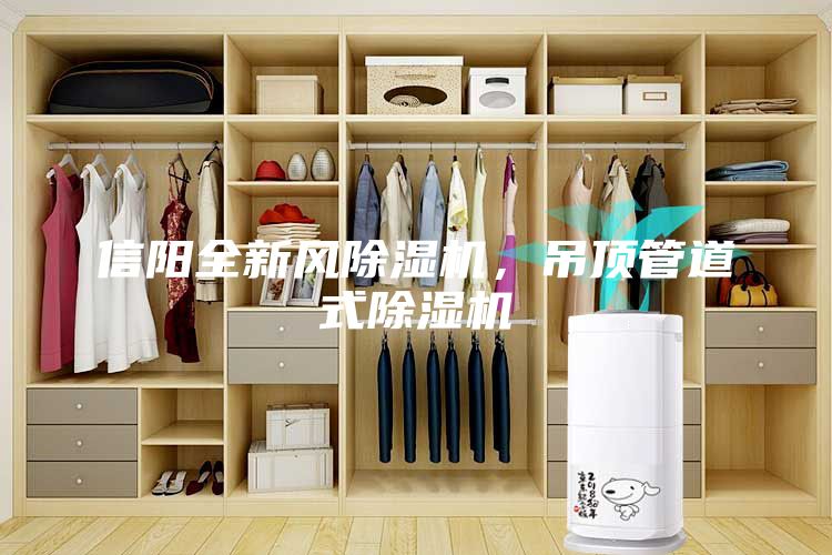 信陽(yáng)全新風(fēng)除濕機(jī)，吊頂管道式除濕機(jī)