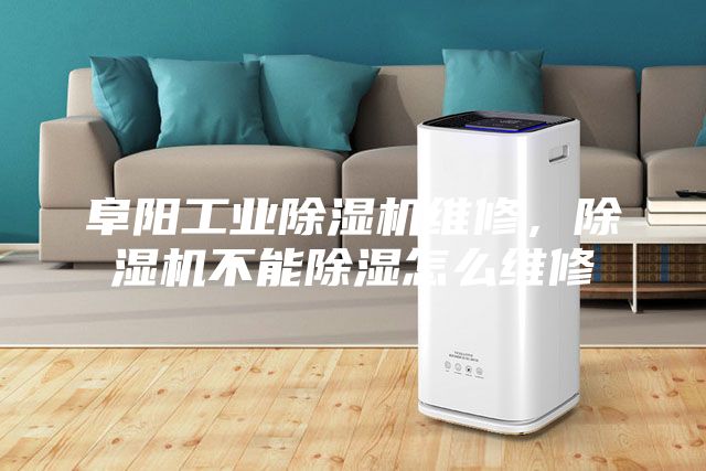 阜陽(yáng)工業(yè)除濕機(jī)維修，除濕機(jī)不能除濕怎么維修