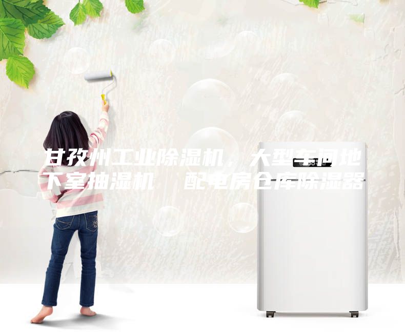 甘孜州工業(yè)除濕機(jī)，大型車(chē)間地下室抽濕機(jī)  配電房倉(cāng)庫(kù)除濕器