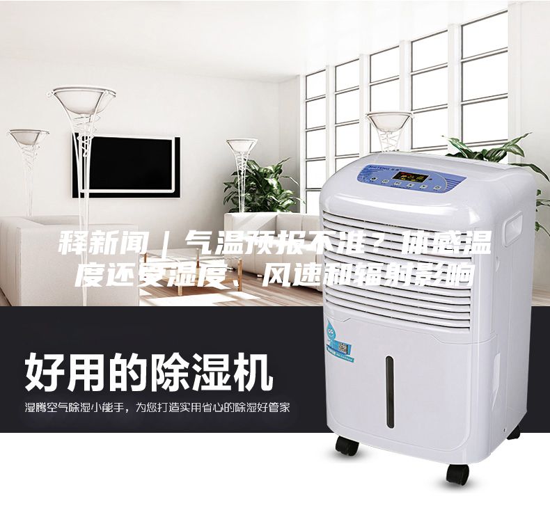 釋新聞｜氣溫預報不準？體感溫度還受濕度、風速和輻射影響