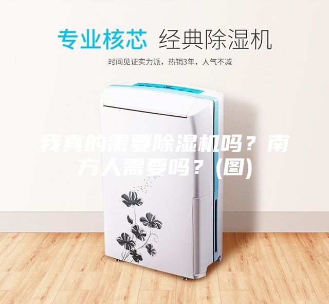 我真的需要除濕機嗎？南方人需要嗎？(圖)