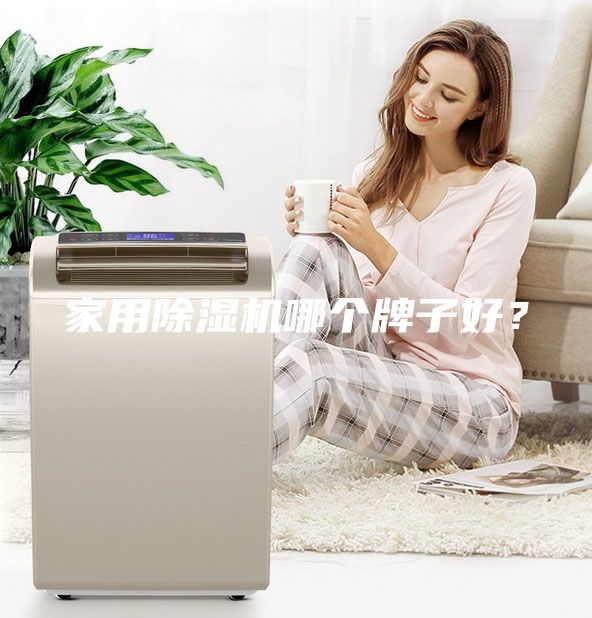 家用除濕機哪個牌子好？