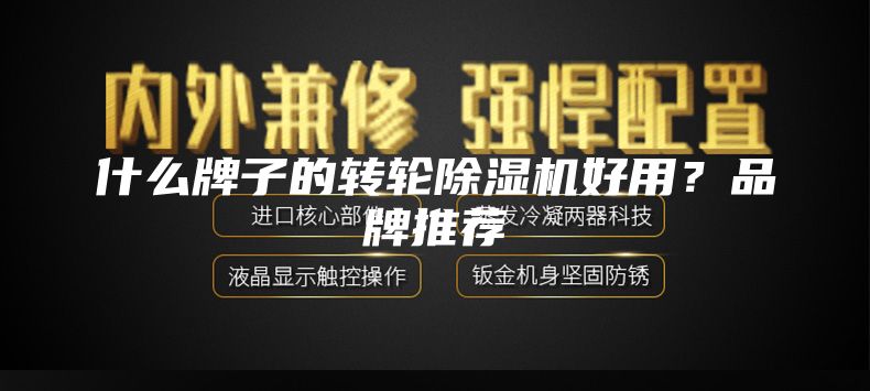 什么牌子的轉(zhuǎn)輪除濕機(jī)好用？品牌推薦