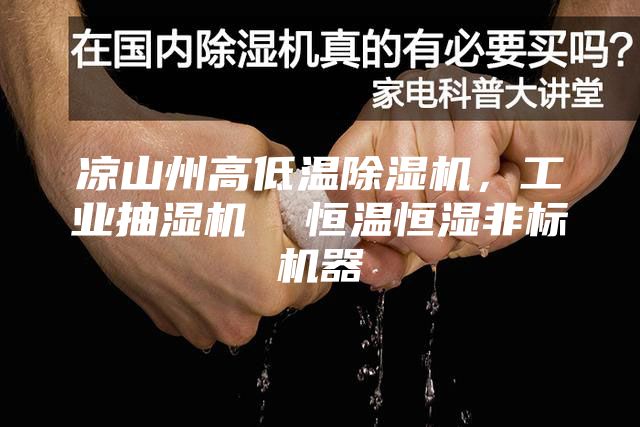 涼山州高低溫除濕機(jī)，工業(yè)抽濕機(jī)  恒溫恒濕非標(biāo)機(jī)器
