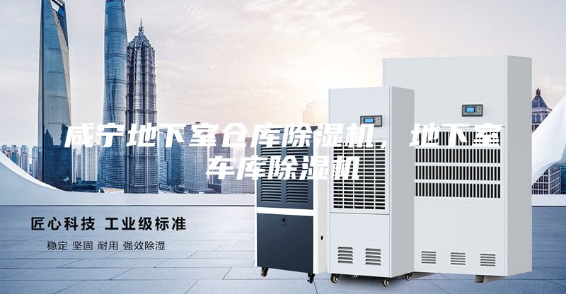 咸寧地下室倉(cāng)庫(kù)除濕機(jī)，地下室車庫(kù)除濕機(jī)