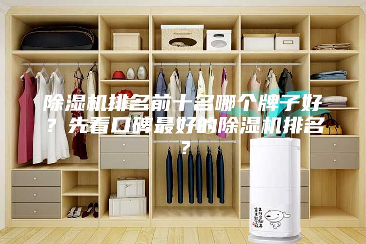 除濕機排名前十名哪個牌子好？先看口碑最好的除濕機排名？