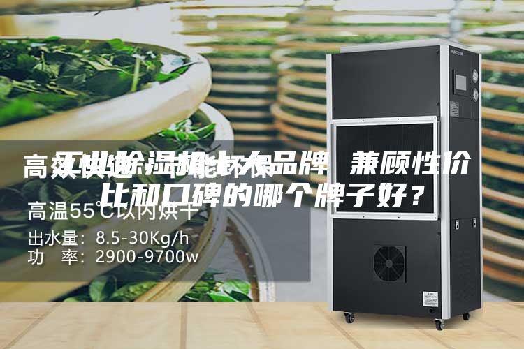 工業(yè)除濕機(jī)十大品牌 兼顧性價(jià)比和口碑的哪個(gè)牌子好？