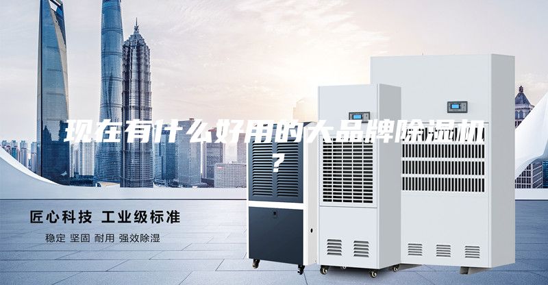 現(xiàn)在有什么好用的大品牌除濕機(jī)？