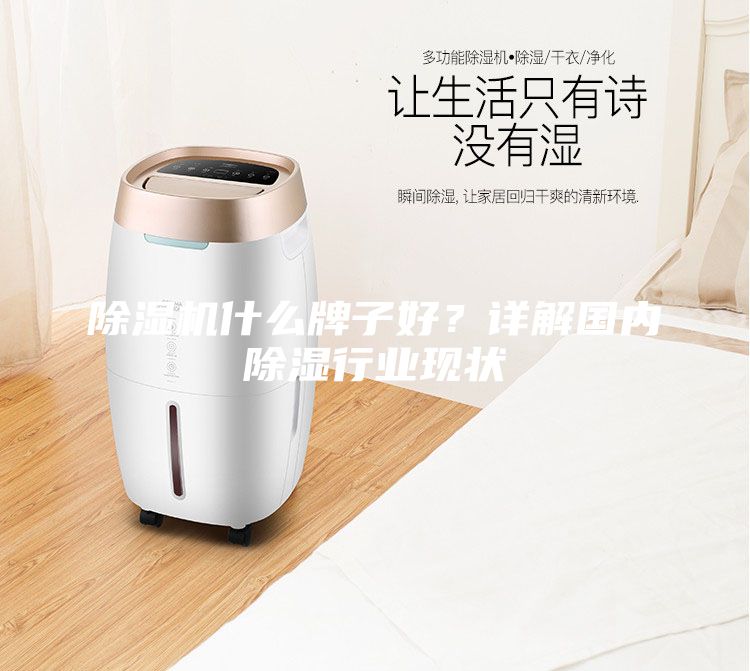 除濕機什么牌子好？詳解國內(nèi)除濕行業(yè)現(xiàn)狀