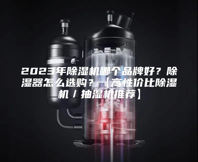2023年除濕機哪個品牌好？除濕器怎么選購？【高性價比除濕機／抽濕機推薦】