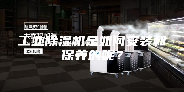 工業(yè)除濕機(jī)是如何安裝和保養(yǎng)的呢？