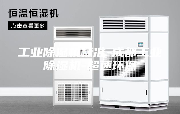 工業(yè)除濕機標(biāo)準(zhǔn)-成都工業(yè)除濕機-超速環(huán)保