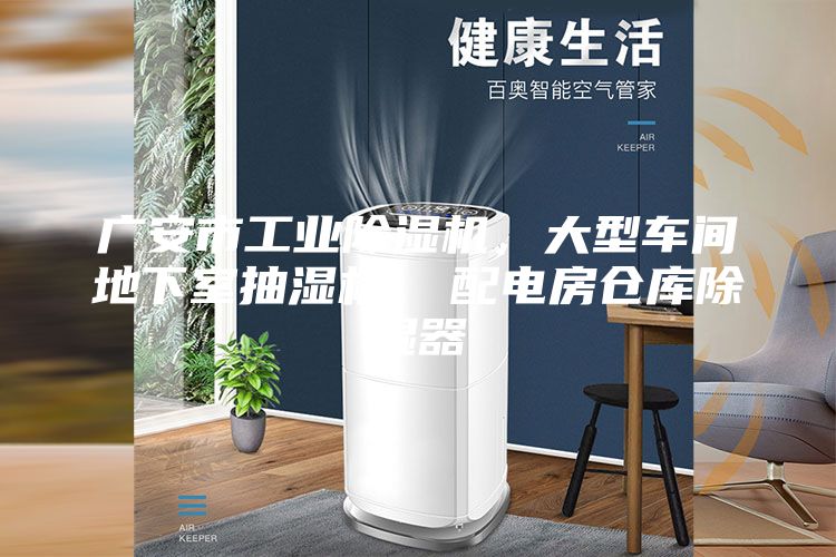 廣安市工業(yè)除濕機，大型車間地下室抽濕機  配電房倉庫除濕器