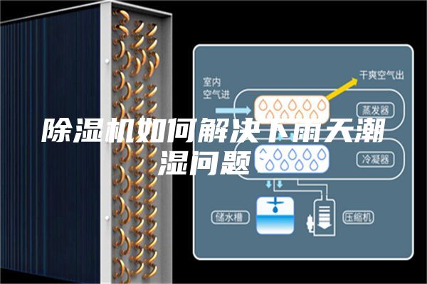 除濕機(jī)如何解決下雨天潮濕問(wèn)題？