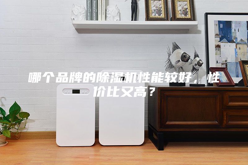 哪個(gè)品牌的除濕機(jī)性能較好，性價(jià)比又高？