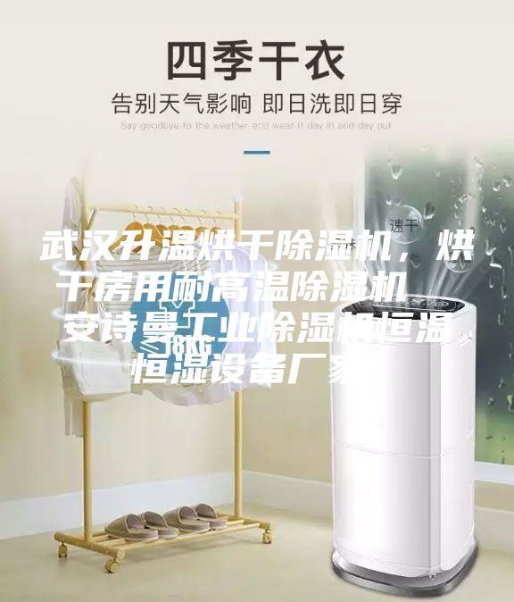 武漢升溫烘干除濕機(jī)，烘干房用耐高溫除濕機(jī)  安詩曼工業(yè)除濕機(jī)恒溫恒濕設(shè)備廠家！