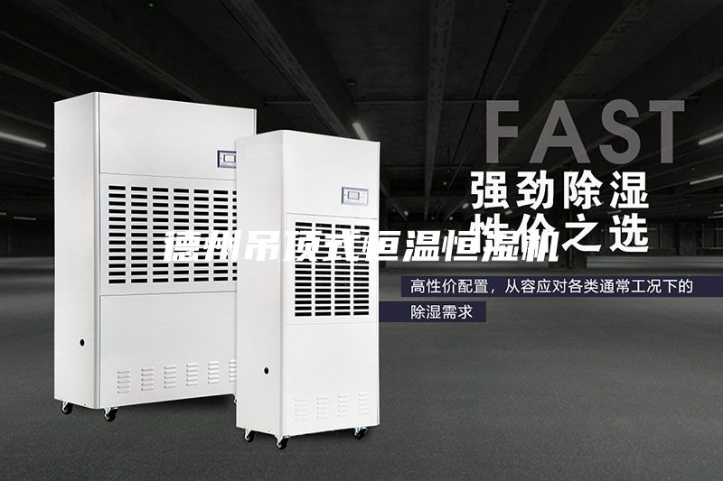 德州吊頂式恒溫恒濕機(jī)