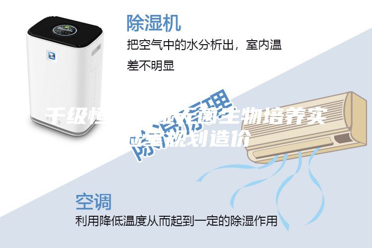 千級恒溫恒濕無菌生物培養(yǎng)實驗室規(guī)劃造價