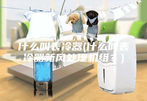 什么叫表冷器(什么叫表冷器新風(fēng)處理機(jī)組？)