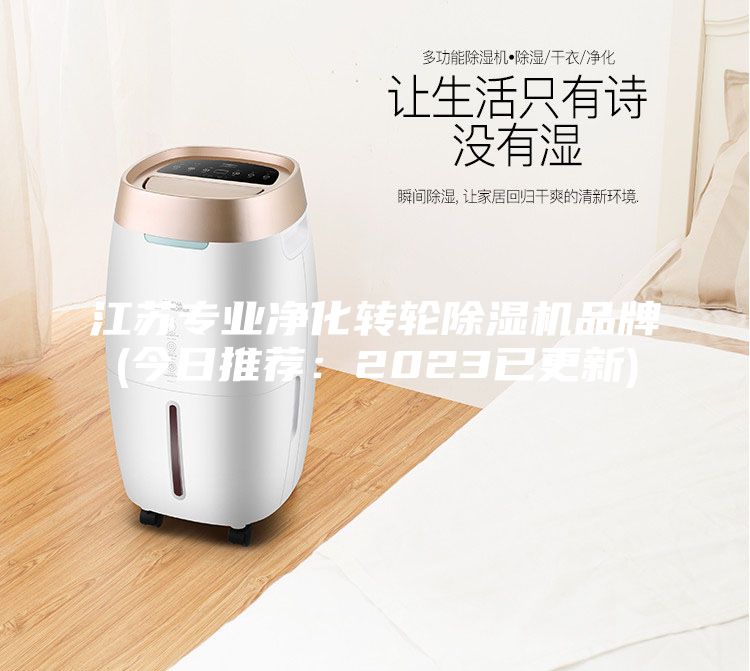 江蘇專業(yè)凈化轉輪除濕機品牌(今日推薦：2023已更新)