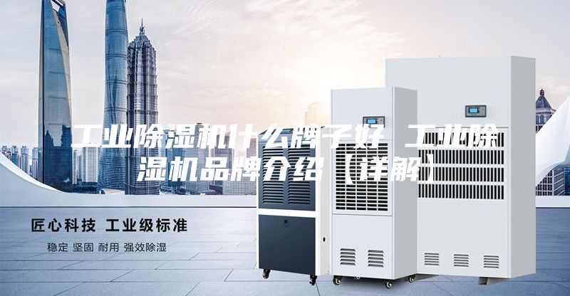 工業(yè)除濕機(jī)什么牌子好 工業(yè)除濕機(jī)品牌介紹【詳解】