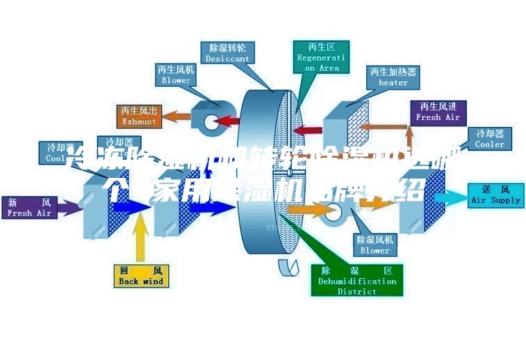 冷凍除濕機和轉(zhuǎn)輪除濕機選哪個 家用除濕機品牌介紹