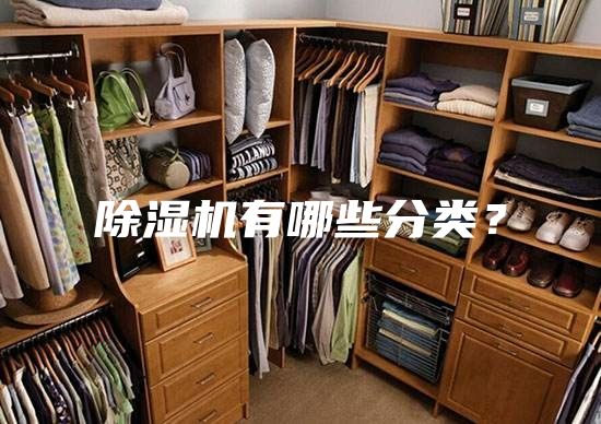 除濕機有哪些分類？