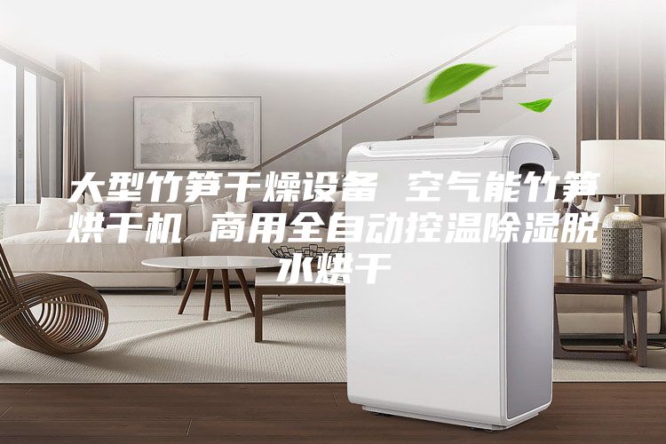 大型竹筍干燥設(shè)備 空氣能竹筍烘干機(jī) 商用全自動控溫除濕脫水烘干