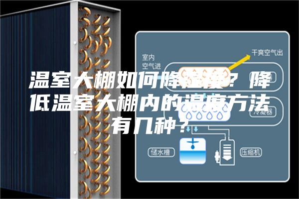 溫室大棚如何降濕度？降低溫室大棚內(nèi)的濕度方法有幾種？