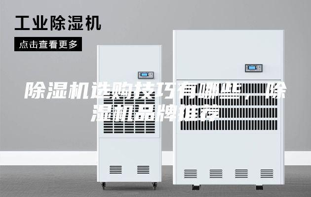 除濕機(jī)選購(gòu)技巧有哪些，除濕機(jī)品牌推薦