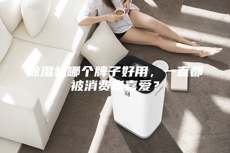 除濕機哪個牌子好用，一直都被消費者喜愛？