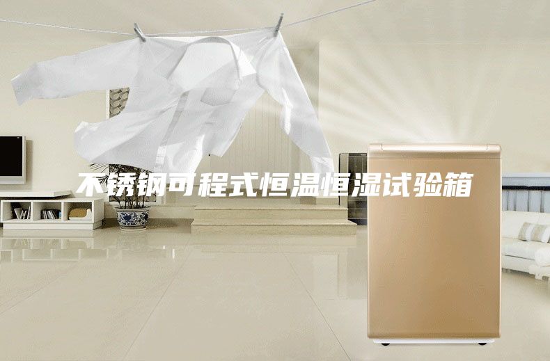 不銹鋼可程式恒溫恒濕試驗(yàn)箱