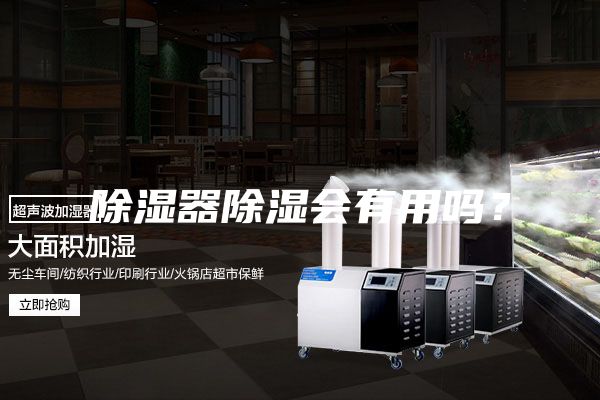 除濕器除濕會有用嗎？