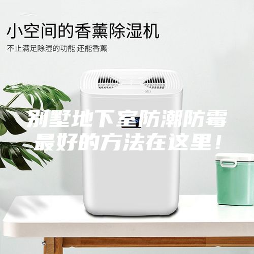 別墅地下室防潮防霉最好的方法在這里！