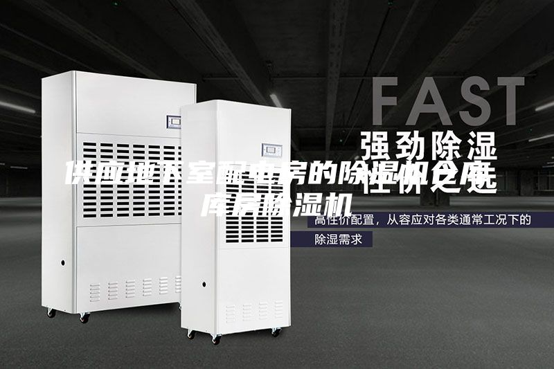 供應(yīng)地下室配電房的除濕機倉庫庫房除濕機