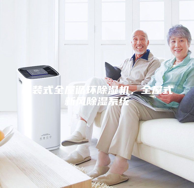吊裝式全屋循環(huán)除濕機，全屋式新風除濕系統(tǒng)