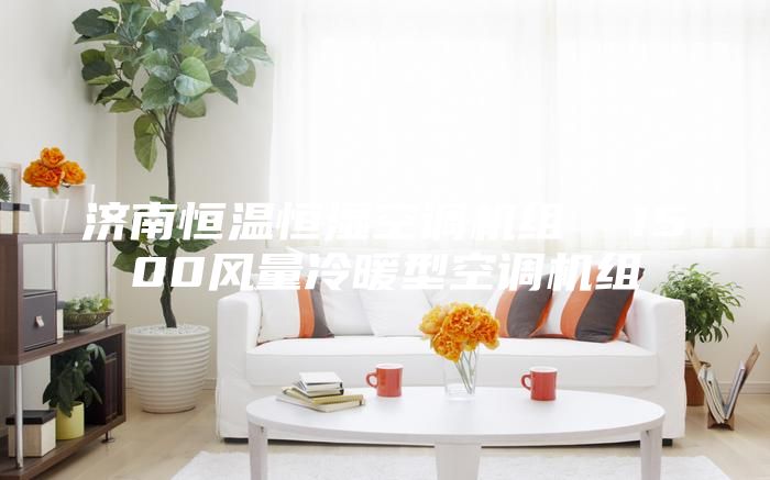 濟南恒溫恒濕空調(diào)機組  1500風量冷暖型空調(diào)機組