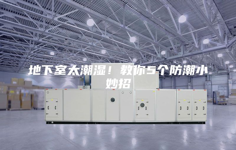 地下室太潮濕！教你5個防潮小妙招