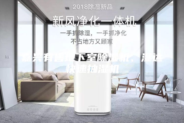嘉興有售地下室除濕機、濕達快速抽濕機