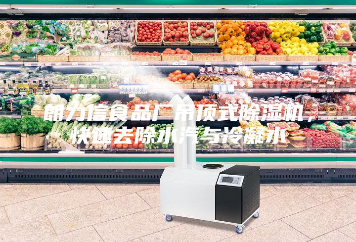 朗力信食品廠吊頂式除濕機，快速去除水汽與冷凝水