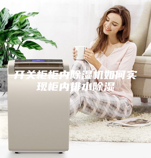 開關(guān)柜柜內(nèi)除濕機如何實現(xiàn)柜內(nèi)排水除濕