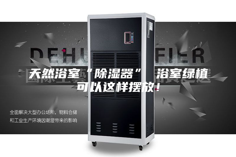 天然浴室“除濕器” 浴室綠植可以這樣擺放！