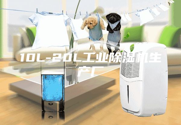 10L-20L工業(yè)除濕機生產(chǎn)廠