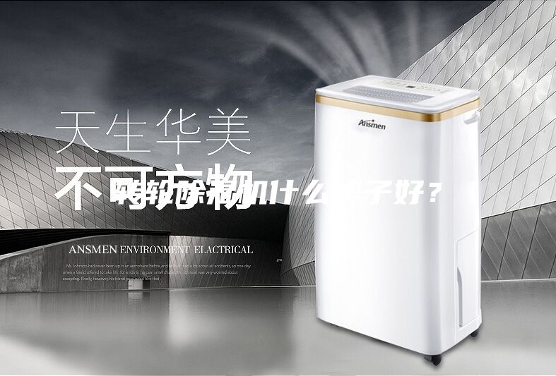 轉(zhuǎn)輪除濕機(jī)什么牌子好？