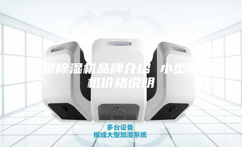 小型除濕機(jī)品牌介紹 小型除濕機(jī)價格說明
