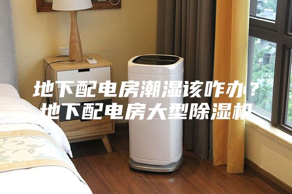 地下配電房潮濕該咋辦？地下配電房大型除濕機