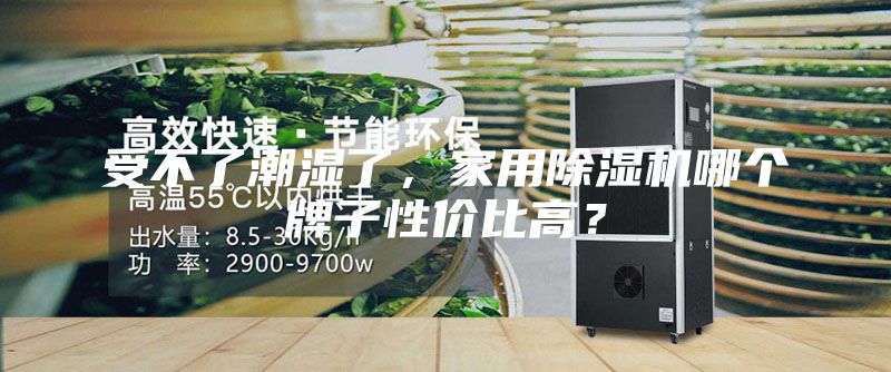 受不了潮濕了，家用除濕機(jī)哪個(gè)牌子性價(jià)比高？